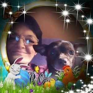 Meet your Posher, Virginia